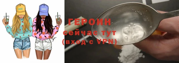 хмурый Пересвет